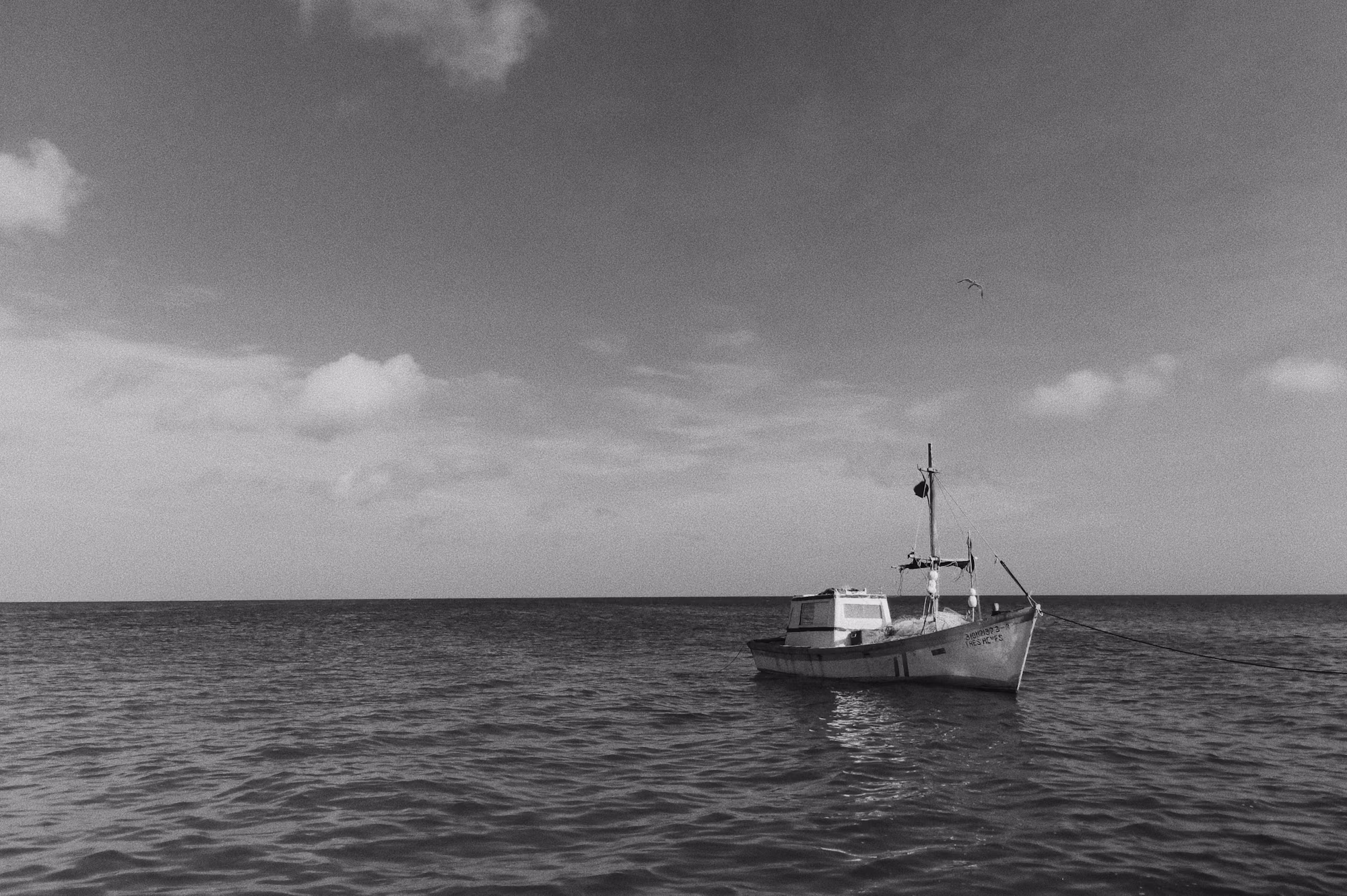 Exploring the Mystical Marginal Seas: A Journey Through Earth’s Enchanted Waters